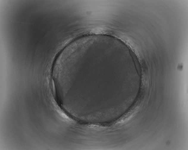 X0000097620393200803211750