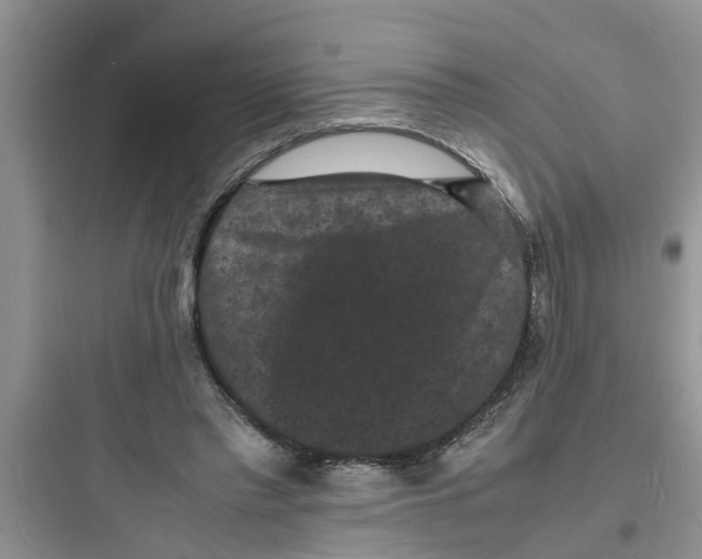 X0000097620397200803211750