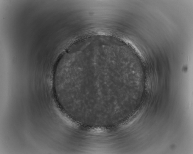 X0000097620402200803211750