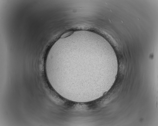 X0000097620403200803211750