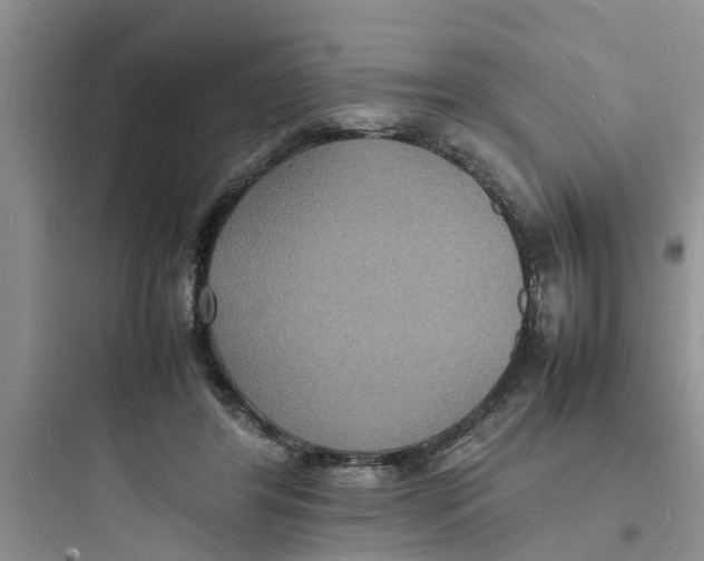 X0000097620404200803211750
