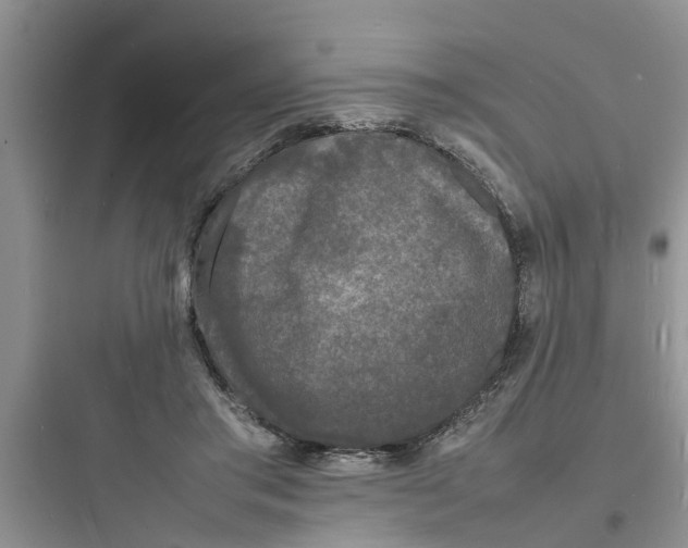 X0000097620405200803211750