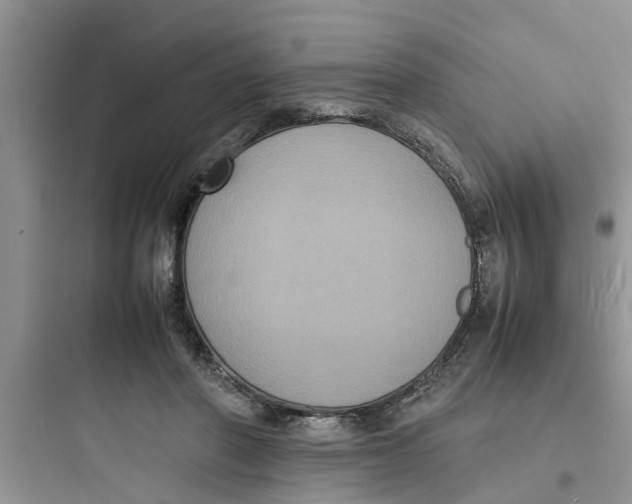 X0000097620406200803211750