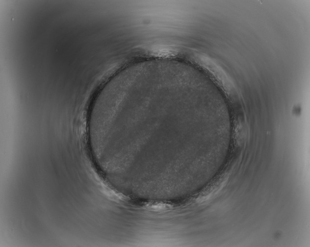 X0000097620407200803211750