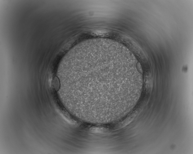 X0000097620408200803211750