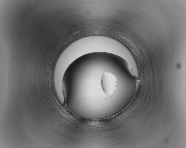 X0000097620409200803211750