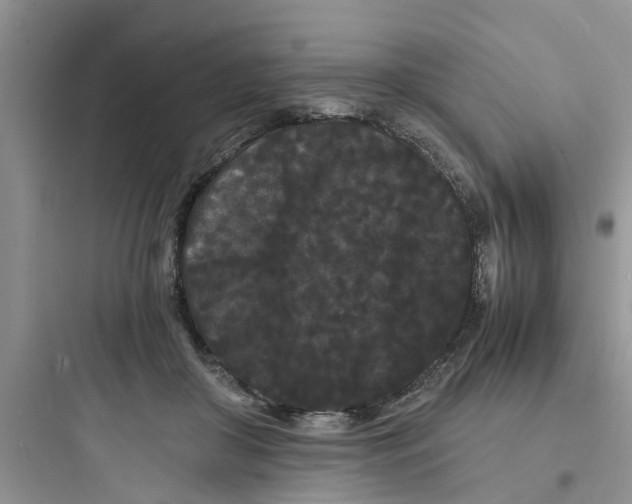 X0000097620410200803211750