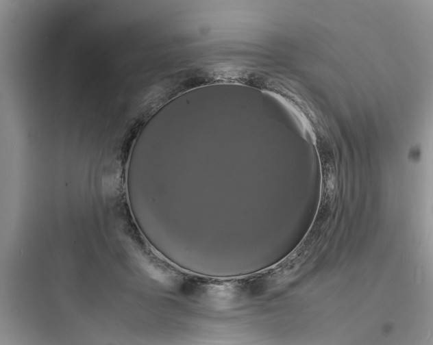 X0000097620411200803211750