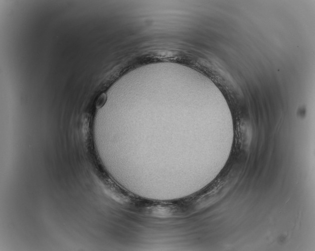 X0000097620412200803211750
