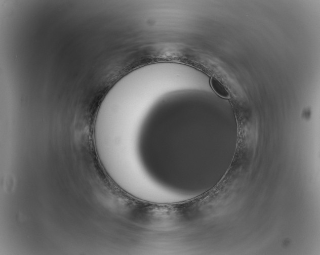 X0000097620415200803211750