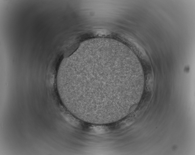 X0000097620417200803211750