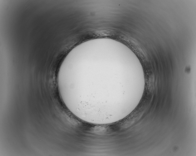 X0000097620418200803211750
