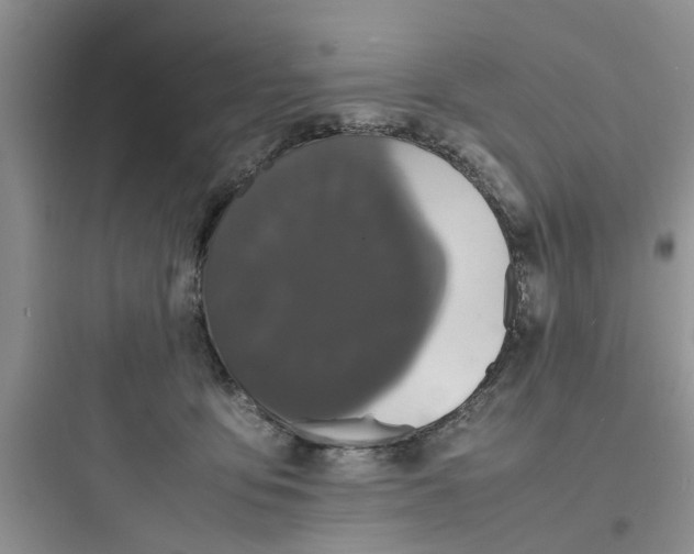 X0000097620419200803211750