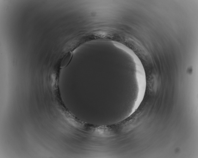 X0000097620420200803211750