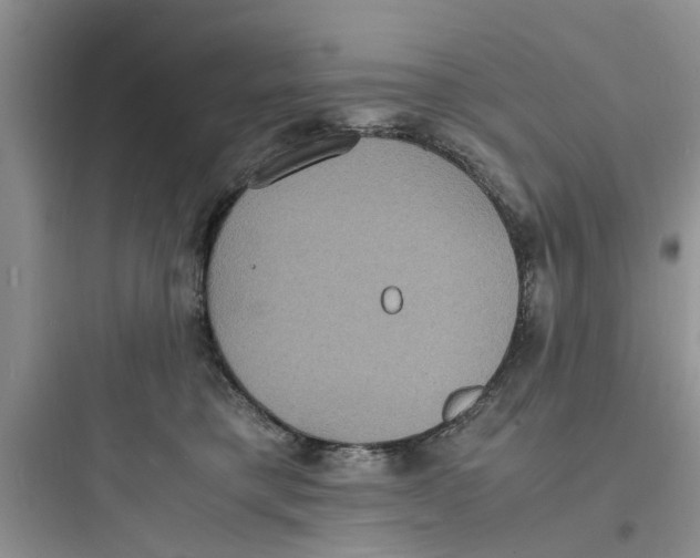 X0000097620421200803211750