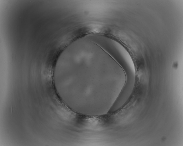 X0000097620423200803211750