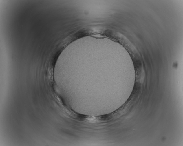 X0000097620425200803211750