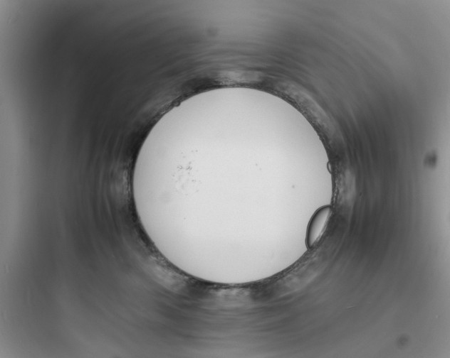 X0000097620426200803211750