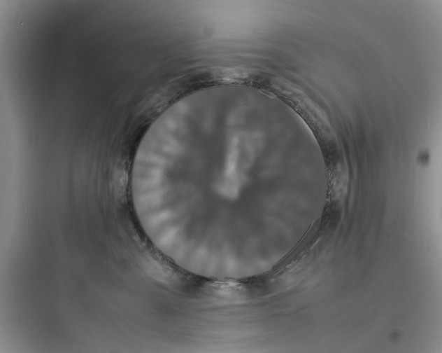 X0000097620427200803211750