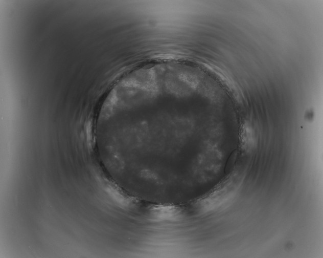 X0000097620428200803211750