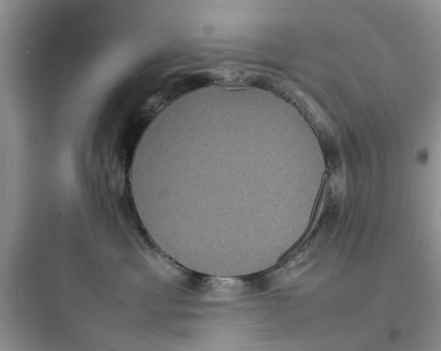 X0000097620429200803211750