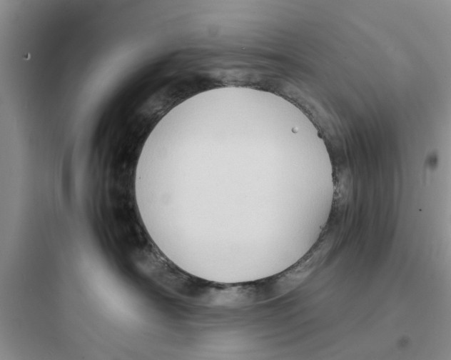 X0000097620430200803211750