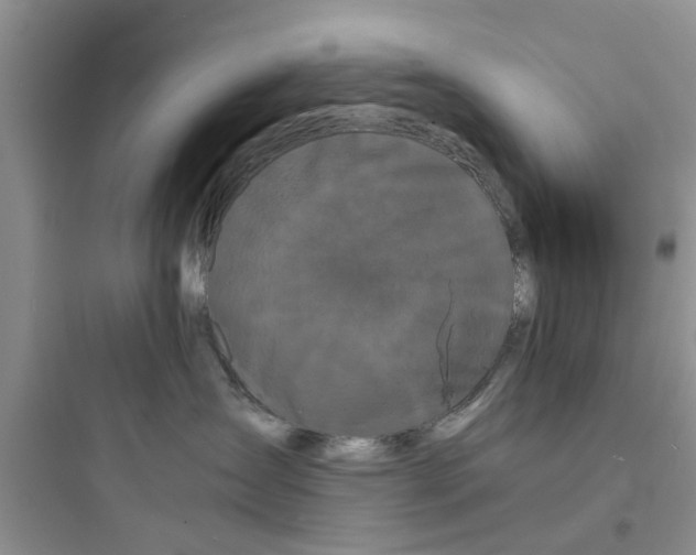 X0000097620431200803211750