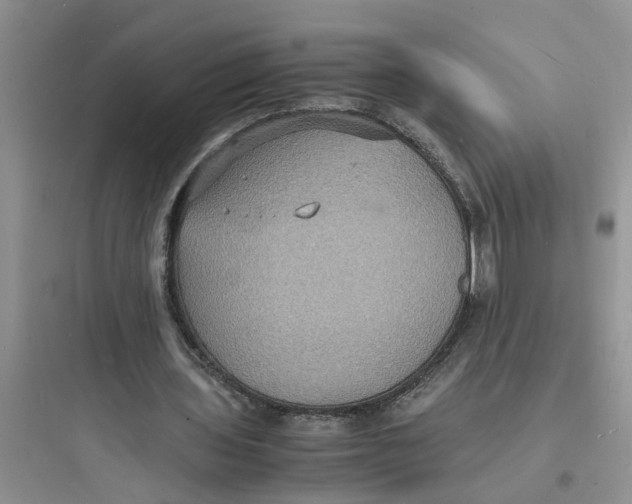 X0000097620435200803211749