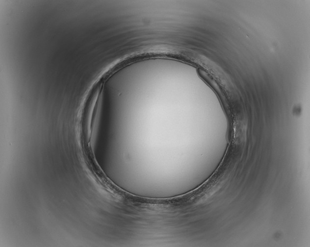 X0000097620436200803211749
