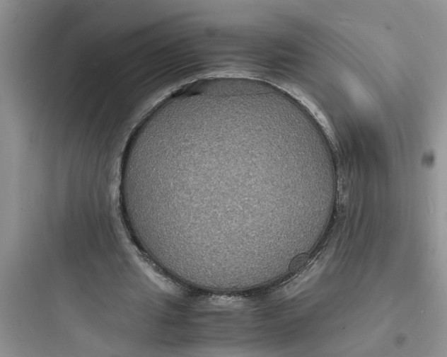 X0000097620437200803211749