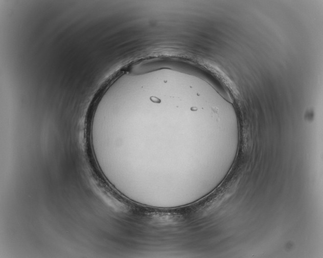 X0000097620439200803211749