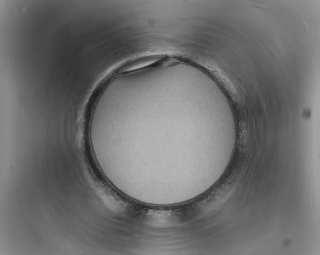 X0000097620440200803211749