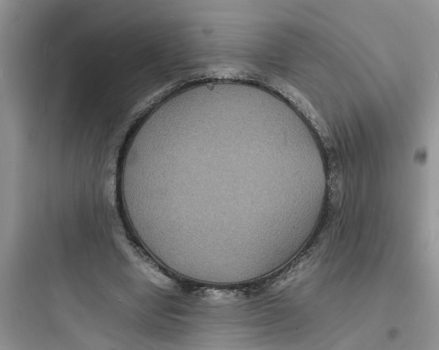 X0000097620442200803211749
