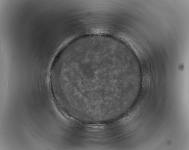X0000097620443200803211749
