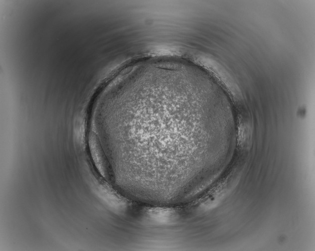 X0000097620444200803211749