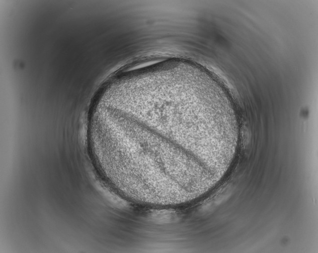X0000097620446200803211749