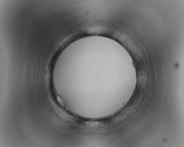 X0000097620448200803211749