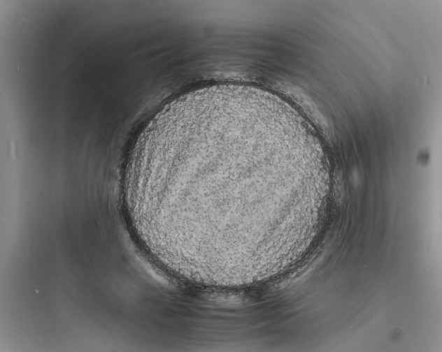 X0000097620449200803211749