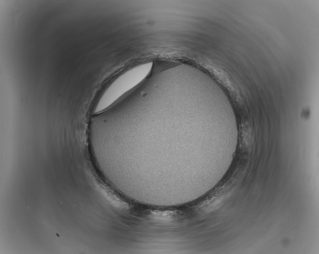 X0000097620450200803211749