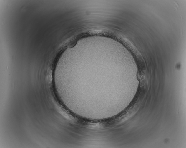 X0000097620454200803211749