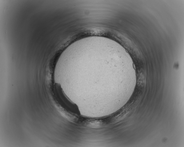 X0000097620456200803211749