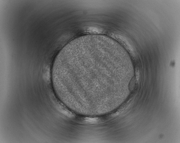 X0000097620457200803211749