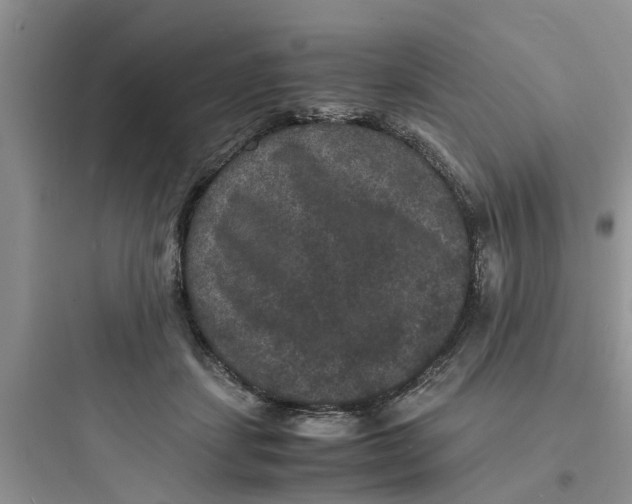 X0000097620459200803211749