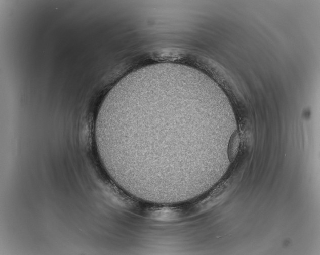 X0000097620460200803211749