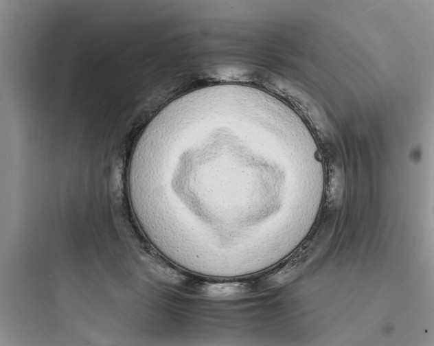 X0000097620461200803211749