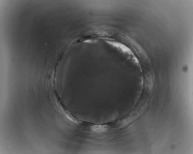 X0000097620465200803211750