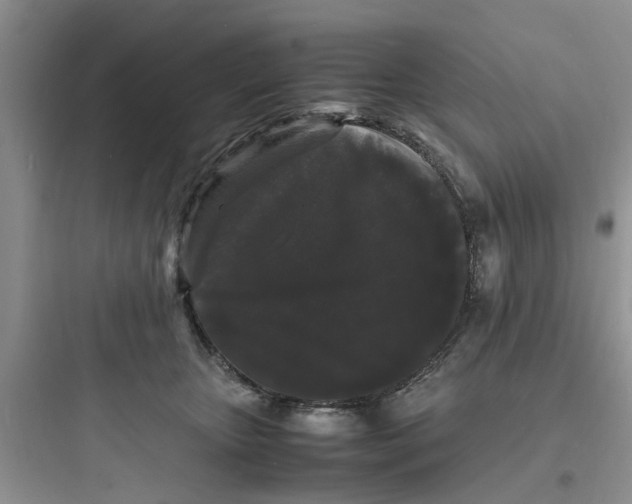 X0000097620467200803211750