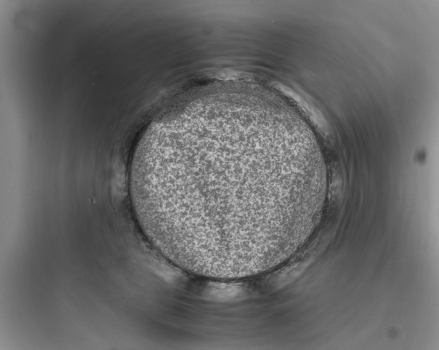 X0000097620469200803211750