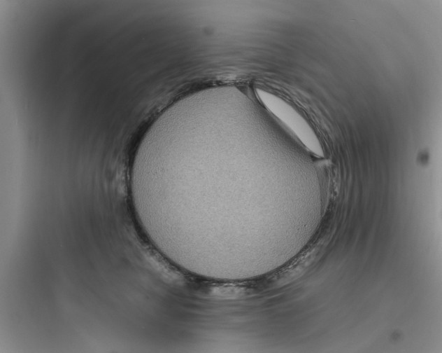 X0000097620470200803211750