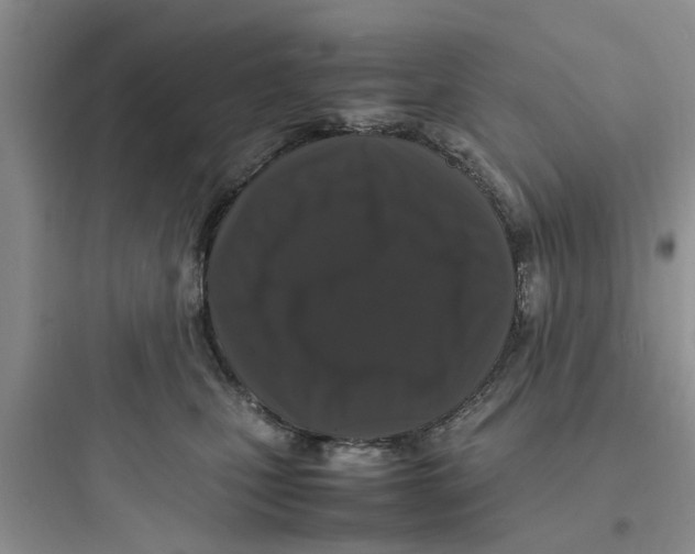 X0000097620471200803211750